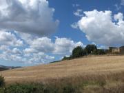 Terreno in vendita a Volterra