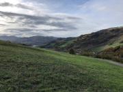 Terreno in vendita a Zocca MO