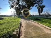 TERRENO + MAGAZINO in vendita a Brindisi, Zona Montenegro