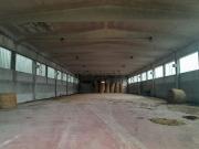 Terreno in vendita di 100000 m² in Via Erasmo Piaggio, 110