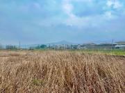 Terreno in vendita di 10000 m²
