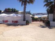 Terreno in vendita di 10000 m²