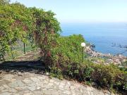 Terreno in vendita di 10000 m²