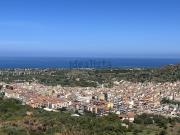 Terreno in vendita di 10000 m²