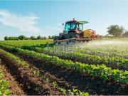 Terreno in vendita di 10000 m²