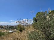 Terreno in vendita di 10000 m² in Contrada Fazzotto