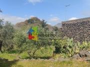Terreno in vendita di 10000 m² in Contrada pietra marina