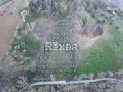 Terreno in vendita di 10000 m² in Contrada Selva