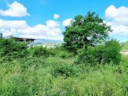 Terreno in vendita di 10000 m² in Località Saudelle di...