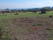 Terreno in vendita di 10000 m² in Strada archi torre