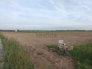 Terreno in vendita di 10000 m² in Strada Provinciale 107, 3