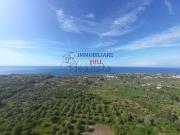 Terreno in vendita di 10000 m² in Strada Provinciale 50