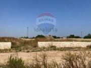Terreno in vendita di 10000 m² in Strada Santa Caterina
