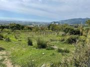 Terreno in vendita di 10000 m² in Via degli alburni
