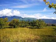 Terreno in vendita di 1000 m²