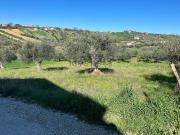 Terreno in vendita di 1000 m² in Via Campo dei Fiori