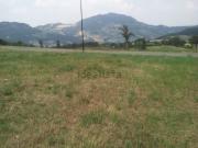 Terreno in vendita di 1000 m² in Via Campolungo