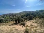 Terreno in vendita di 1000 m² in Via Chiesa Vecchia, 64