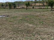 Terreno in vendita di 1000 m² in Via dei Lillá