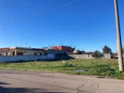 Terreno in vendita di 1000 m² in Via delle Rose