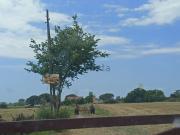 Terreno in vendita di 1000 m² in Via Milano