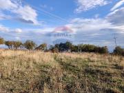 Terreno in vendita di 10020 m² in Località San Salvatore