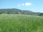 Terreno in vendita di 100600 m²