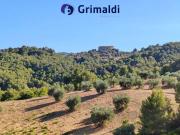 Terreno in vendita di 10110 m² in Contrada Secolare