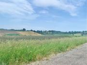 Terreno in vendita di 10140 m²