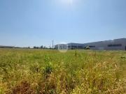 Terreno in vendita di 10400 m² in Via Casaglia