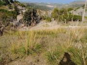 Terreno in vendita di 10430 m² in Via Pianura