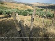 Terreno in vendita di 104862 m² in Strada Statale 290, 230