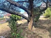 Terreno in vendita di 1060 m² in Contrada COCARI