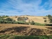 Terreno in vendita di 10700 m² in Strada da Denominare n, 20