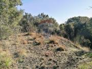 Terreno in vendita di 10760 m² in Via Salemi Pennisi