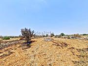 Terreno in vendita di 10806 m² in Strada Provinciale 193