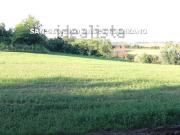 Terreno in vendita di 110000 m² in Via Barche