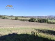 Terreno in vendita di 110000 m² in Via dei Mercuri