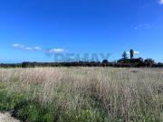 Terreno in vendita di 11000 m² in Contrada San Calogero