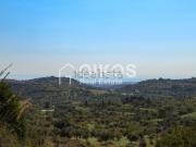 Terreno in vendita di 11000 m² in Strada Senza Nome