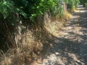 Terreno in vendita di 1100 m² in Via Campotonico