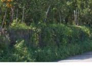 Terreno in vendita di 111951 m² in Strada Provinciale 5