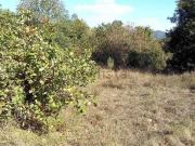 Terreno in vendita di 11200 m² in Strada provinciale di poti