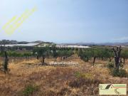 Terreno in vendita di 11290 m² in Viale Punta Bianca
