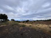 Terreno in vendita di 11350 m²