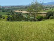 Terreno in vendita di 114 m² in Strada Provinciale Sante...