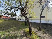 Terreno in vendita di 1158 m² in Via Cimitero, 5