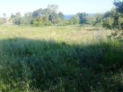 Terreno in vendita di 11600 m²