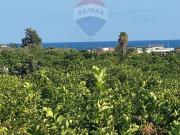 Terreno in vendita di 1160 m² in Via Carini, 10