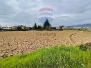 Terreno in vendita di 11670 m² in Via Vittorio Emanuele II